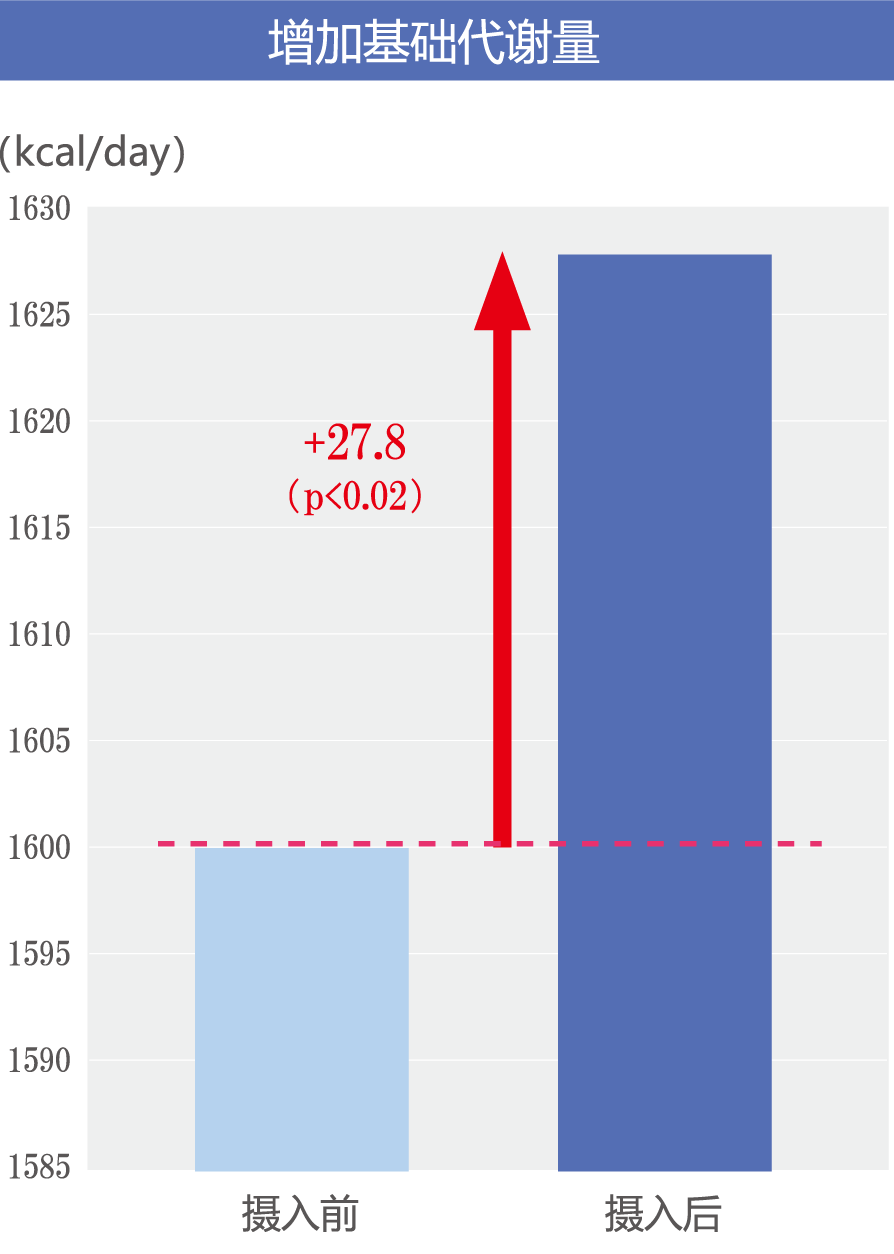 增加基础代谢量