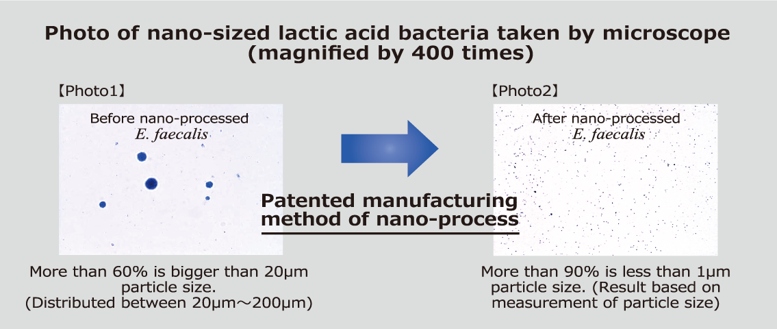 Photo of nano-sized lactic acid bacterium
