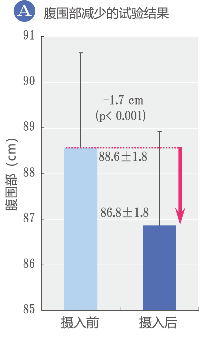 关于腹围部减少的试验结果