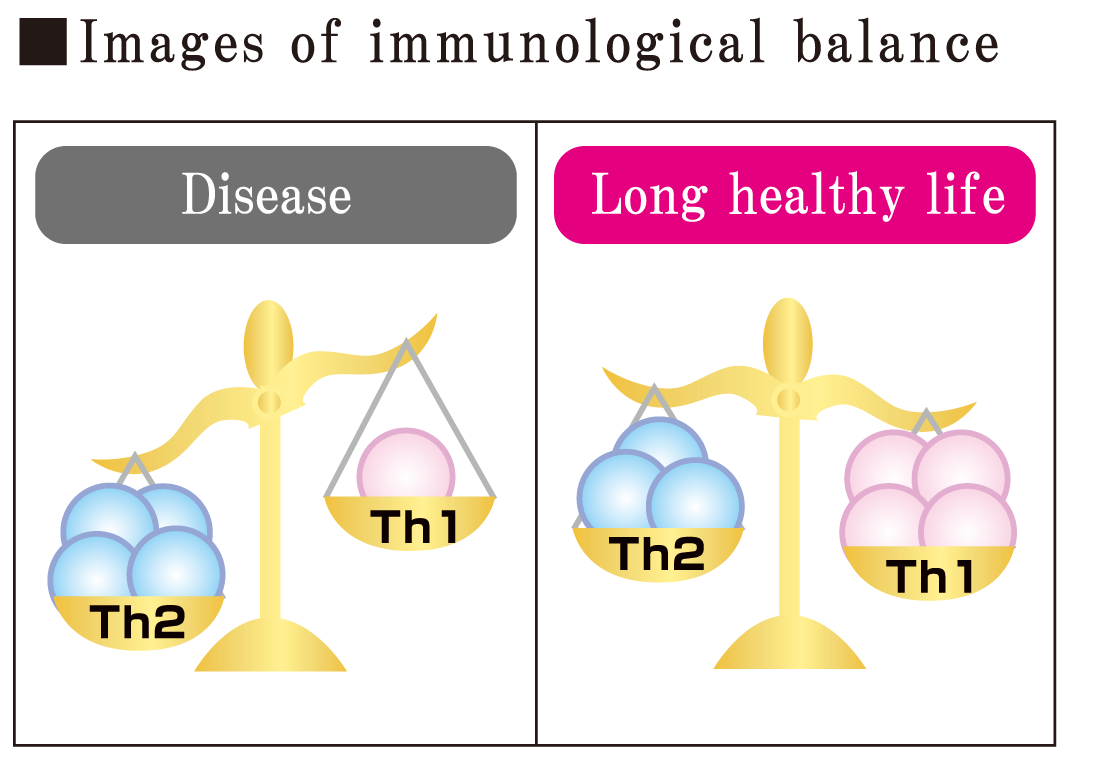 SNK controls our immunity balance