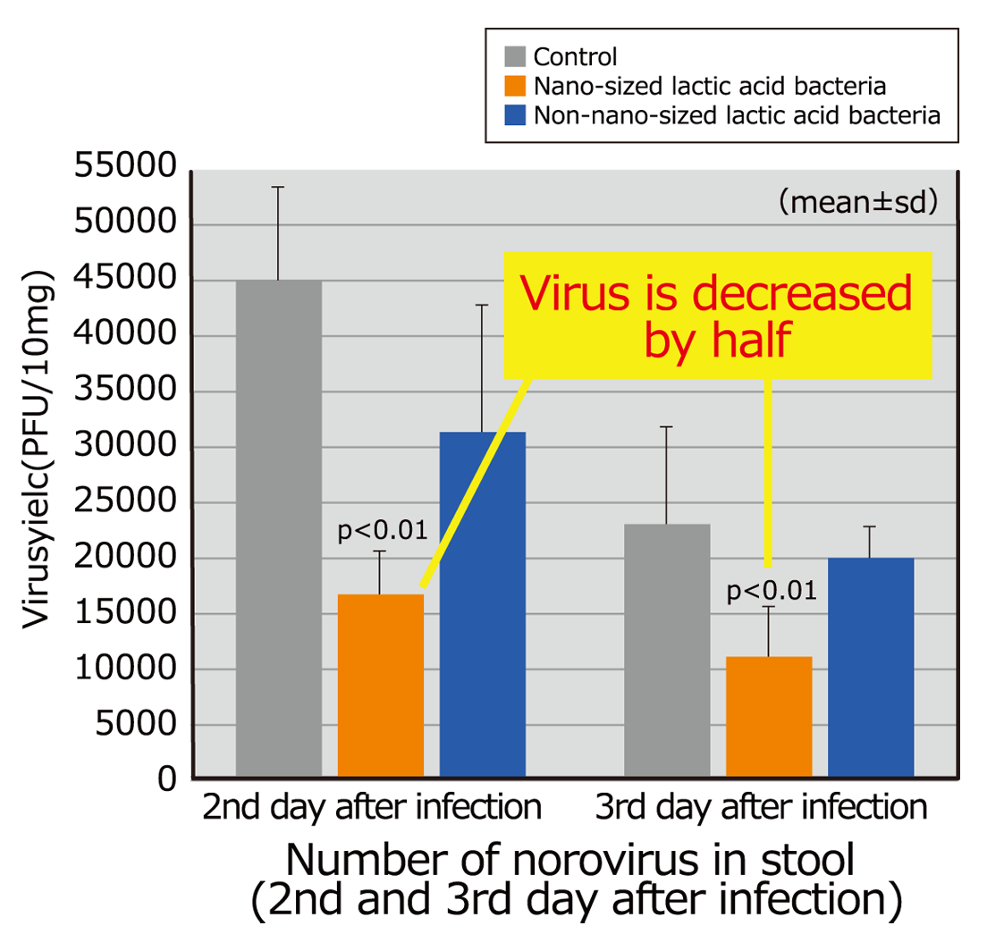 nEF decreases norovirus by half